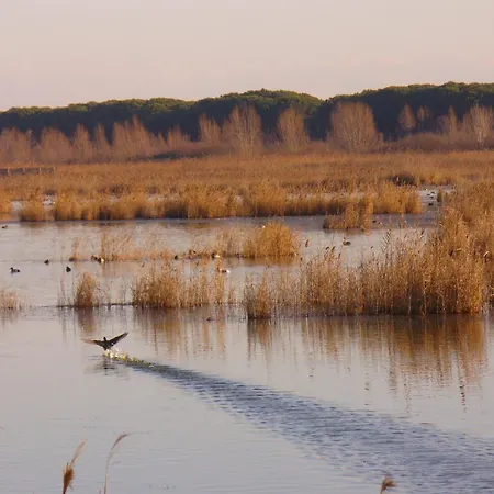 Catto Suisse Hotel Caorle