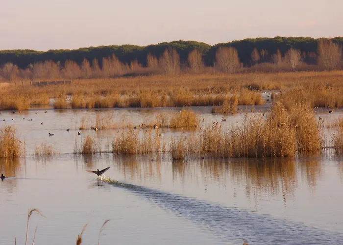 Catto Suisse Hotel Caorle