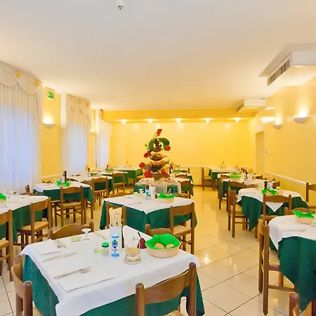 Catto Suisse カオルレ